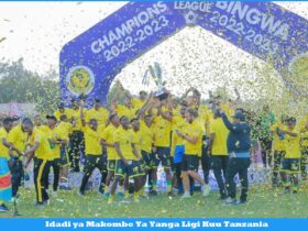 Idadi ya Makombe Ya Yanga Ligi Kuu Tanzania