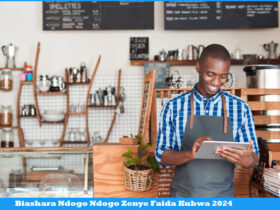 Biashara Ndogo Ndogo Zenye Faida Kubwa 2024