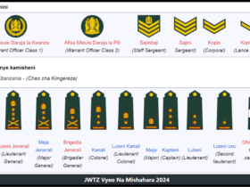JWTZ Vyeo Na Mishahara 2024