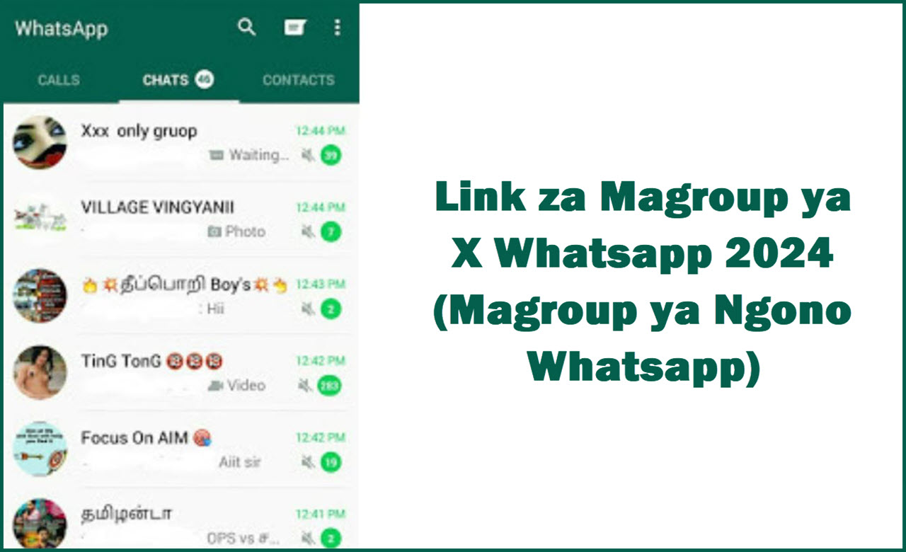 Link za Magroup ya X Whatsapp 2024 Magroup ya Ngono Whatsapp