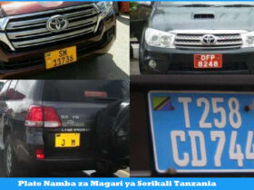 Plate Namba za Magari ya Serikali Tanzania