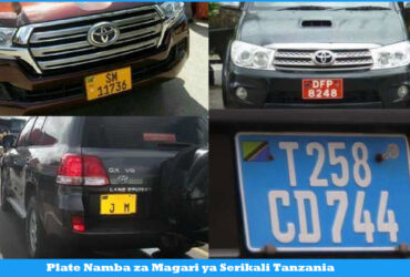Plate Namba za Magari ya Serikali Tanzania