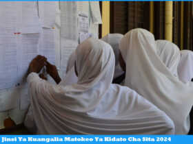 Jinsi Ya Kuangalia Matokeo Ya Kidato Cha Sita 2024 shuleni