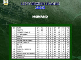 Msimamo wa Ligi Kuu ya U17 Tanzania 2024