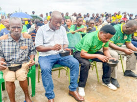 Ngombe 20 Kuchinjwa Jangwani Wiki ya Mwananchi