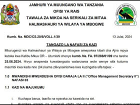 Tangazo La Nafasi Za Kazi Halmashauri Ya Wilaya Ya Mbogwe Mwisho Wa Maombi 26 Julai 2024