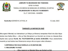 Tangazo la Nafasi za Kazi Halmashauri ya Wilaya ya Missenyi Mwisho wa Maombi Julai 21 2024