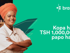 Kampuni Zinazotoa Mikopo ya Haraka Bila Dhamana Tanzania 2024