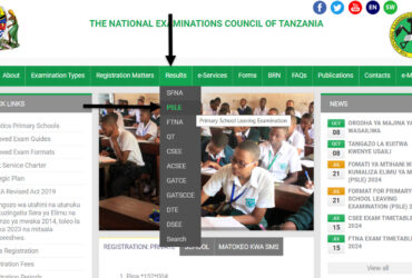 Kuangalia matokeo ya darasa la saba 2024