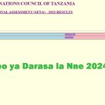Matokeo ya Darasa la Nne 2024 Iringa