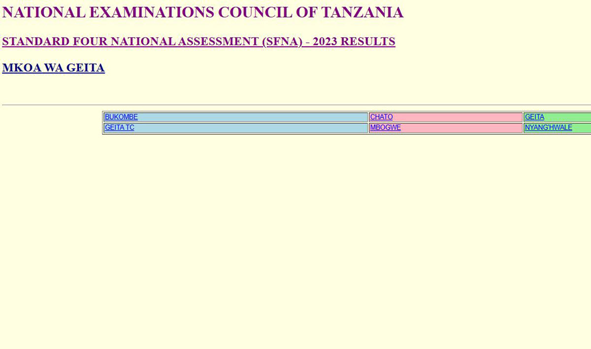 Matokeo ya Darasa la Nne 2024 Mkoa wa Geita