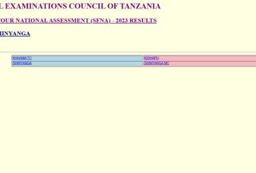 Matokeo ya Darasa la Nne 2024 Mkoa wa Shinyanga