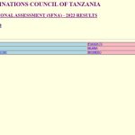 Matokeo ya Darasa la Nne 2024 Morogoro