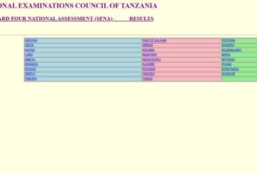 Matokeo ya Darasa la Nne 2024 NECTA