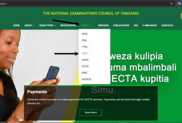 Kuangalia matokeo ya kidato cha nne 2024
