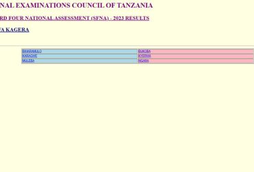 Matokeo ya Darasa la Nne 2024 Mkoa wa Kagera