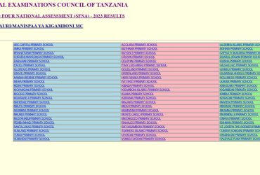 Matokeo ya darasa la nne 2024 yanatangazwa lini