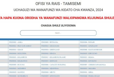 Shule Walizopangiwa Darasa la Saba 2025
