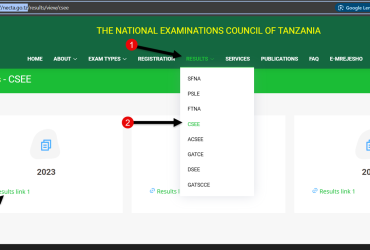 matokeo kidato cha nne 2024