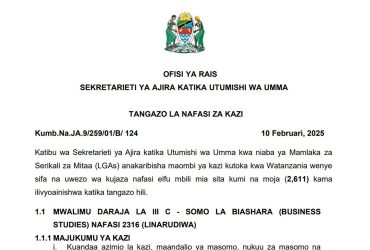 Nafasi za Kazi Ualimu MDAs NA LGAs February 2025