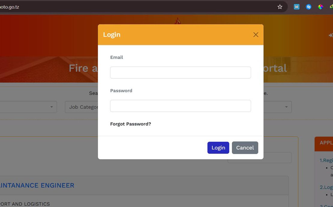 kuingia katika mfumo wa ajira zimamoto