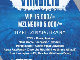 Viingilio Mechi ya Tabora united Vs Yanga SC Leo 02 04 2025