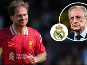 Mac Allister Awindwa Kuziba Pengo la Modric Real Madrid