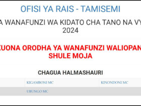 Majina ya Waliochaguliwa Kidato cha Tano Dar es Salaam 2025 2026