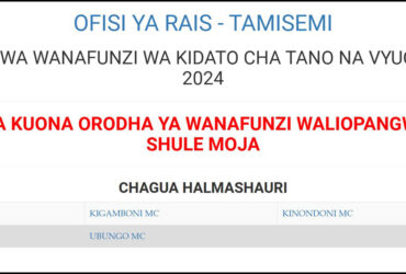 Majina ya Waliochaguliwa Kidato cha Tano Dar es Salaam 2025 2026