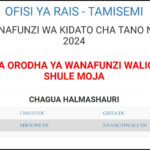 Majina ya Waliochaguliwa Kidato cha Tano Geita 2025 2026