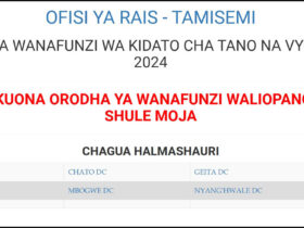 Majina ya Waliochaguliwa Kidato cha Tano Geita 2025 2026