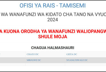 Majina ya Waliochaguliwa Kidato cha Tano Geita 2025 2026