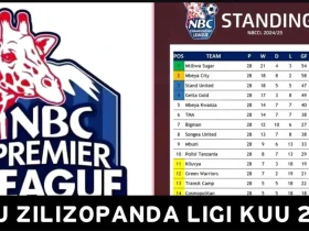 Timu Zilizopanda Daraja Ligi Kuu Tanzania 2025 2026