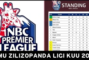 Timu Zilizopanda Daraja Ligi Kuu Tanzania 2025 2026