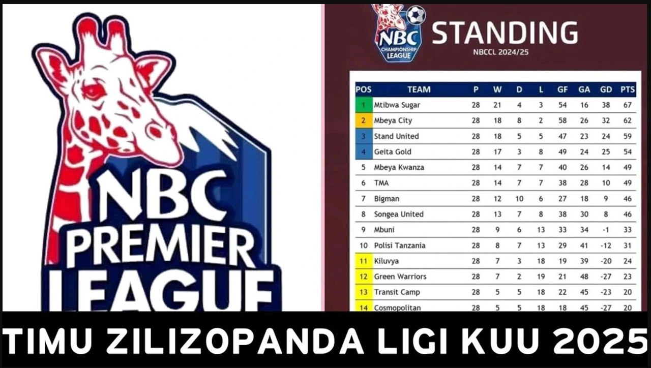Timu Zilizopanda Daraja Ligi Kuu Tanzania 2025 2026