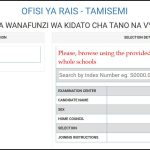 Form Five Selection 2025