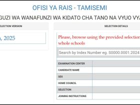 Form Five Selection 2025