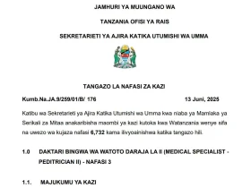 Nafasi Mpya za Kazi MDAs LGAs Juni 2025