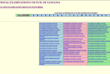 Matokeo ya Ualimu Ngazi ya Cheti 2025 NECTA GATCE Results