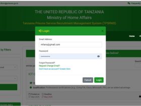 Kuingia Kwenye Mfumo Login