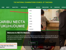 Checking Results Necta Standard Seven results Online via NECTA Website