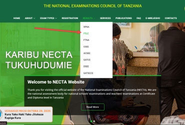 Checking Results Necta Standard Seven results Online via NECTA Website