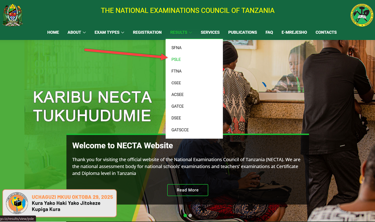 NECTA Standard Seven Results 2025: Updates on PSLE Results for All Regions in Tanzania