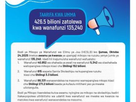 HESLB Yatangaza Awamu ya Kwanza ya Mikopo 2025 2026