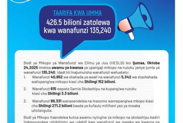HESLB Yatangaza Awamu ya Kwanza ya Mikopo 2025 2026