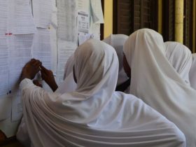 Kuangalia Matokeo ya darasa la saba Kupitia Shule Uliyofanyia Mtihani