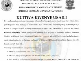 Majina Ya Usaili Kusimamia Uchaguzi 2025 Jimbo La Temeke