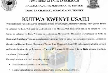 Majina Ya Usaili Kusimamia Uchaguzi 2025 Jimbo La Temeke