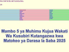 Mambo 5 ya Muhimu Kujua Wakati Wa Kusubiri Kutangazwa kwa Matokeo ya Darasa la Saba 2025