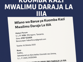 Mfano Wa Barua Ya Kuomba Kazi Mwalimu